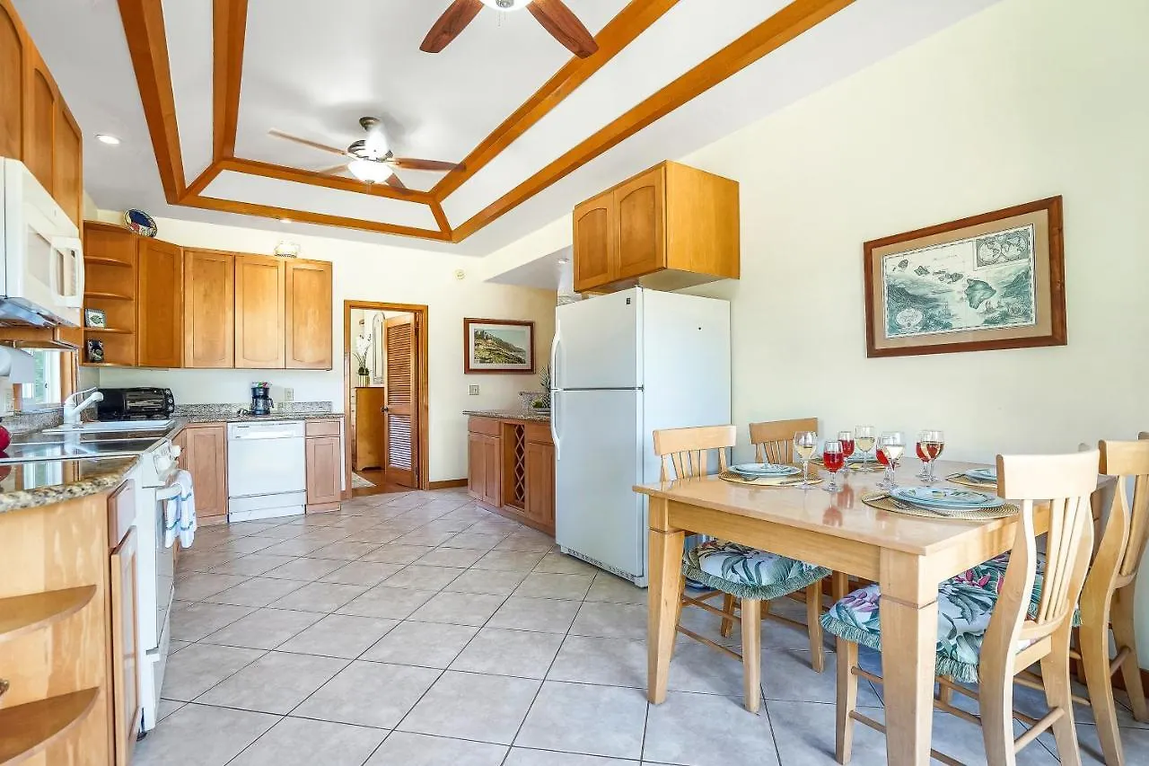 Hale Polu Villa Koloa United States